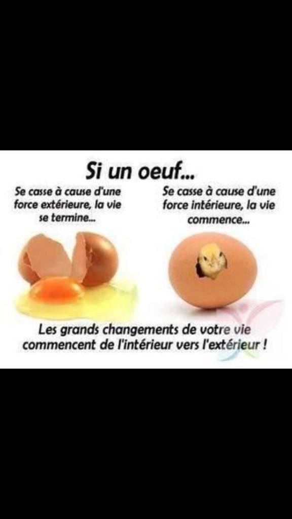 Enlace permanente de imagen incrustada