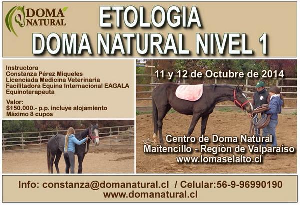 Domanatural's tweet photo. 11y12 Oct. Maitencillo, R. ValparaÍso
constanza@domanatural.cl /Cel. 9699 01 90
http://t.co/JKW1DJIV6A http://t.co/qYA8V0l3ha