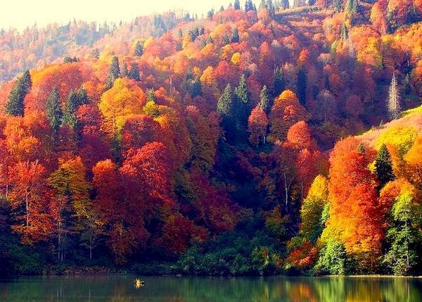 23_paylar's tweet photo. "@Seninleydim: Dünya Üzerinde Sonbahar Mevsiminin En Güzel Yaşandığı 30 Yer &amp;gt;&amp;gt; http://t.co/8IzX0eyI1l http://t.co/76KGwZ2ipC"