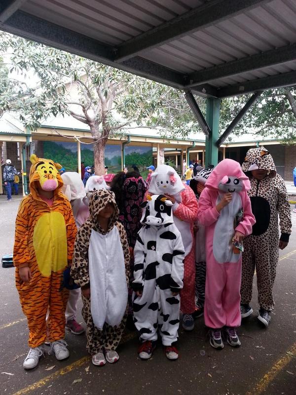 Kerry Tsilimos1 tweet media