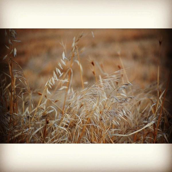 123FLASH_'s tweet photo. http://t.co/h1dpjmnFZu