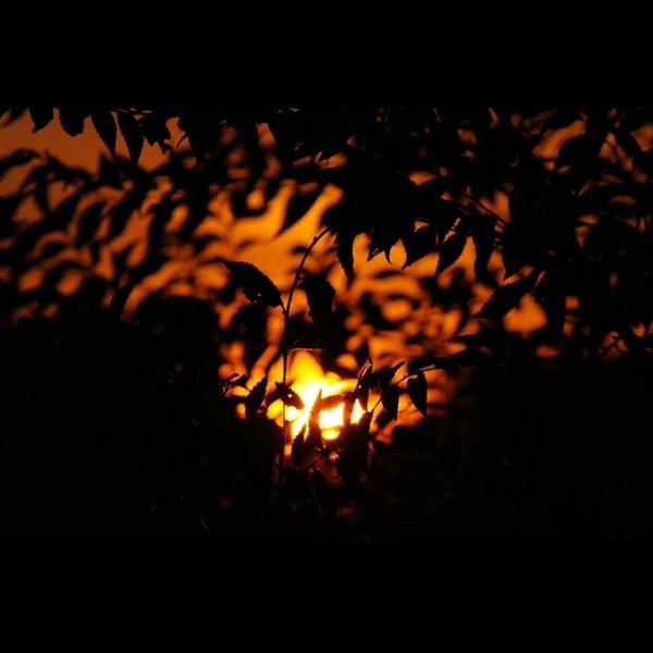 123FLASH_'s tweet photo. http://t.co/h1dpjmnFZu