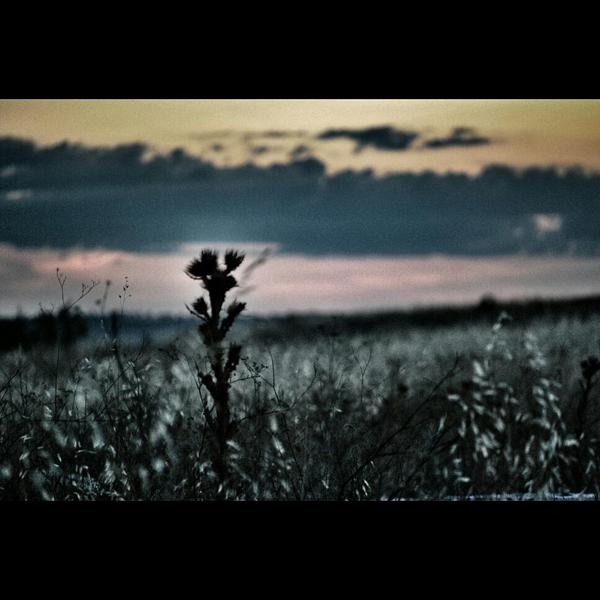 123FLASH_'s tweet photo. http://t.co/h1dpjmnFZu