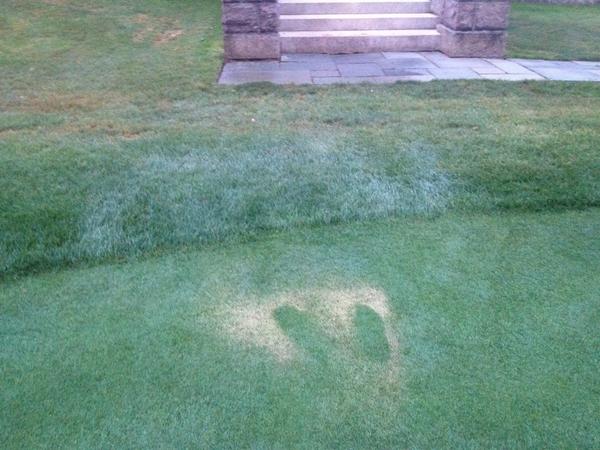 You could not wait until the stairs.