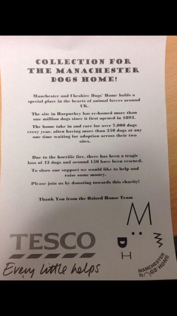 Love my team 🐶 <a href="/deanopaige/">Colin Daley</a> <a href="/philwoodhouse/">Phil Woodhouse</a>