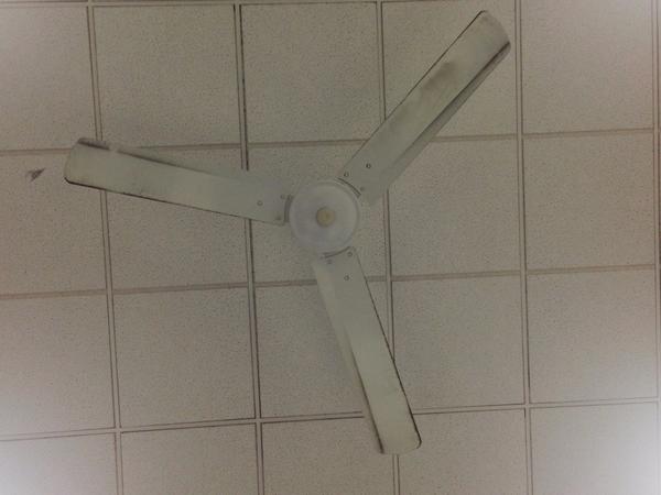 sdhf15a's tweet photo. CATCH ME IF YOU FAN: Killer fan falls on students. #unswstory #arts2091 #notafan http://t.co/eOB6SU6pyj