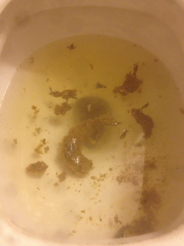 RateMyStew tweet picture
