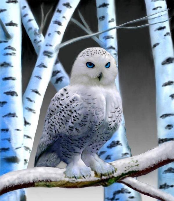 # I like pet #