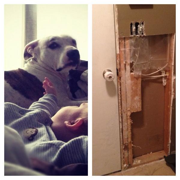 RockBodyFitness's tweet photo. @hodakotb this is the 5th time my rescue pitbull Jacki Chan has done this to the wall from anxiety #PetCrazy http://t.co/ikZie8ao0S