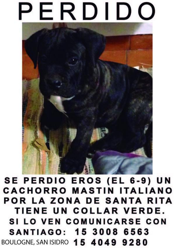 ErosVolve's tweet photo. @chinodarin @violeurtizberea @geobarbarossa @cokiramirez @rochiguirao @fabdoman @arturo_el_oso @fieritacatalano RT!!! http://t.co/DdfGxR3bDd