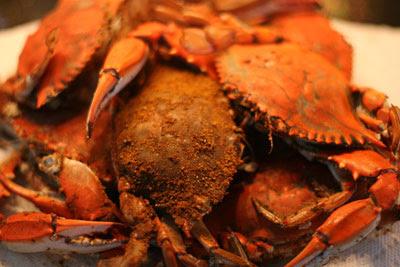 toigarcia's tweet photo. “@MarylandProbz: #baé http://t.co/zVXg2b7z1J” @asandusk