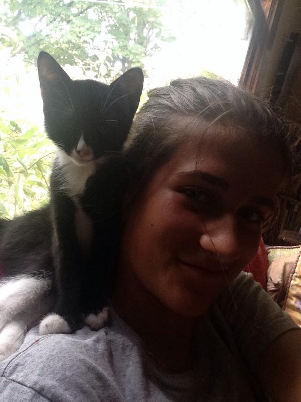 RollinsAnna's tweet image. djanx gettin round #peeingwithurcat #scratchmarks;) #fermented