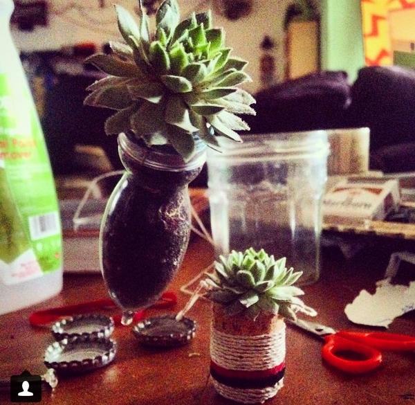PDAplanters's tweet photo. Josh's awesome new designs. Mini lightbulb, hanging planters. I think they're my favorite so far:) http://t.co/KAsgwi8qNI