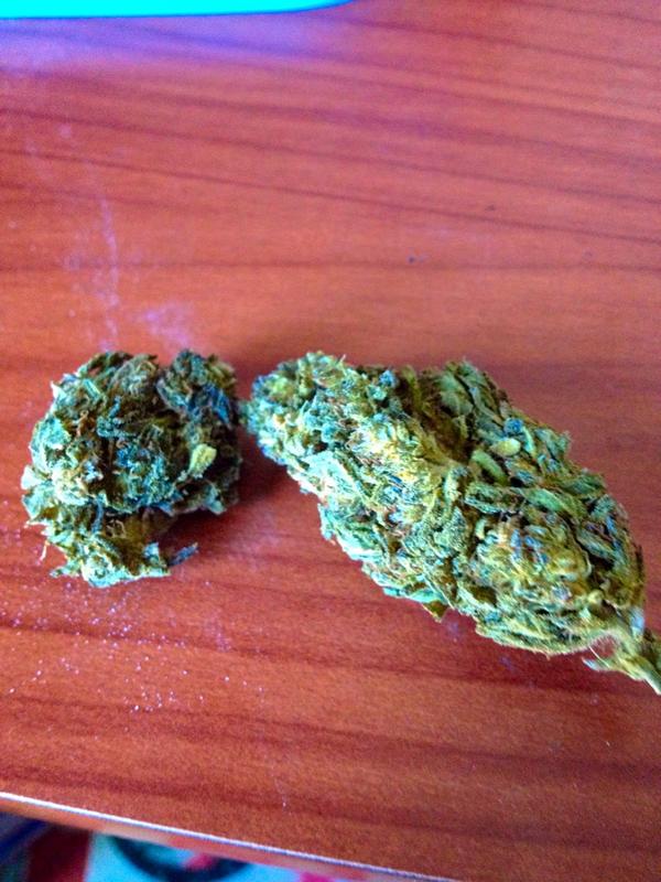 Jeremiii3's tweet photo. #massdank http://t.co/0GV93xw7Z9