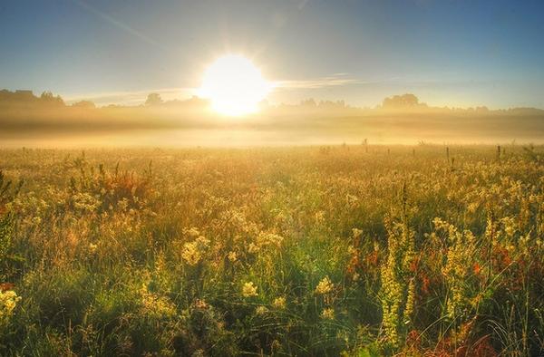 Nightwhisper77's tweet photo. Goodmorning twitterworld, sun's promising a beautiful day, so enjoy and have a fabulous time y'all! xx #LateSummerDay http://t.co/Gd1AYgipmH