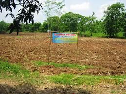 PATOKMAS tweet picture