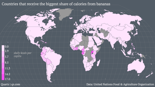 BeautifulMaps's tweet photo. Countries that receive the biggest share of calories from bananas @qz  http://t.co/ssqHd9hCMV #FAOUN @FAOnews http://t.co/Qck89ylJBQ