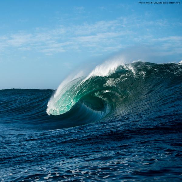 RDK (@rdkverityfarms) on Twitter photo 