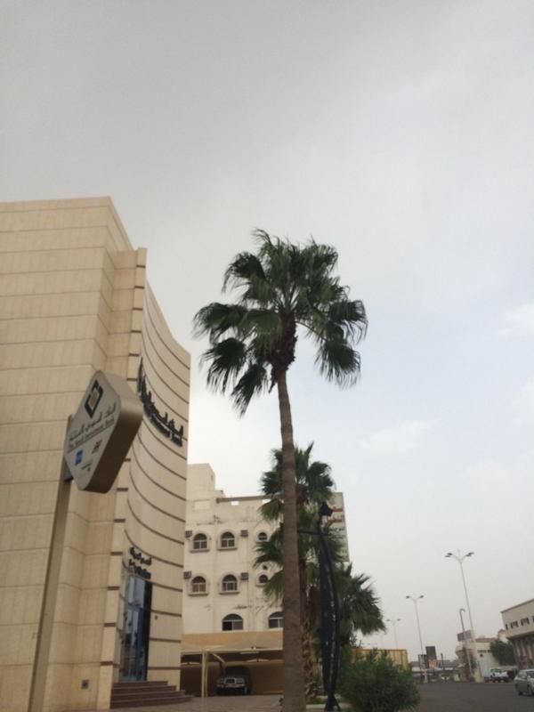 TaifNet's tweet photo. مساؤك من سماء الغيم عطر
ومن بوحي لذات الروح مطر!
#الطائف_غيمة_ومطر http://t.co/uCFqSnE8iV