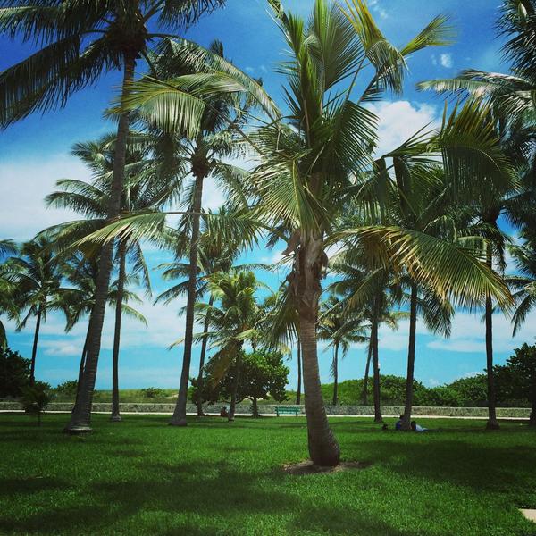 AmorosoOF's tweet photo. #andandoalavoro #miami #spettacolo #lavoropernoi #bigfamily #vipensosempre http://t.co/x9PgLXGGWP