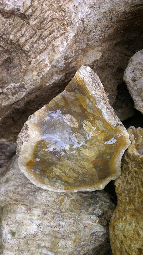 cheapagate tweet picture