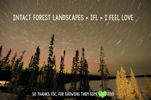 Greenpeace's tweet photo. Great news from the #FSCGA a motion to protect Intact Forest Landscapes passed! Great step to #KeepFSCStrong http://t.co/3ff0uUCYP1