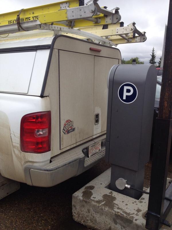 Tanya Dubnicoff tweet media