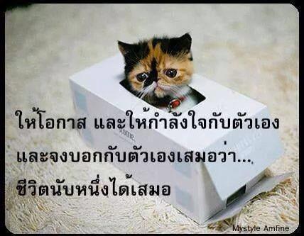 จารุพักตร์ tweet media