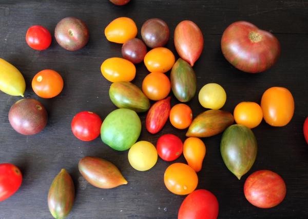LanternNC's tweet photo. Tomato Time! Thank you @FourLeafFarm ! http://t.co/aYSooP1xXe