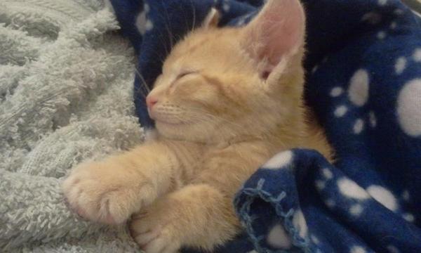 tahtear's tweet image. Me on a Friday... xx #knackerd #dead