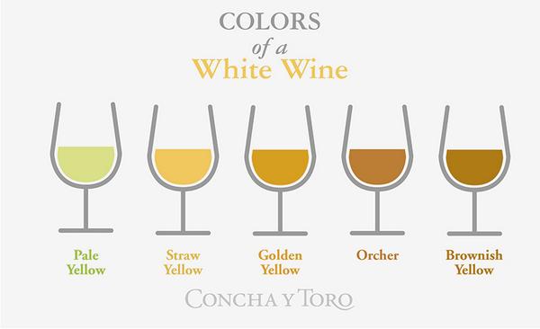 conchaytoro's tweet photo. #WineTips: How much can you tell about a wine by its color? @asmolec_vct answers that question http://t.co/XMS7jeIvjA http://t.co/GNgdgf9TGa
