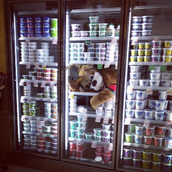 BucksBango's tweet photo. You're probably wondering how I got into this predicament.... So I am. #CleanUpIsle3 http://t.co/2jxJ9hvJvt
