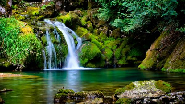 PixShures's tweet photo. "If my clothes come off, will yours do the same?" #skinnydip #NaturePool http://t.co/5PDwDQxPW8