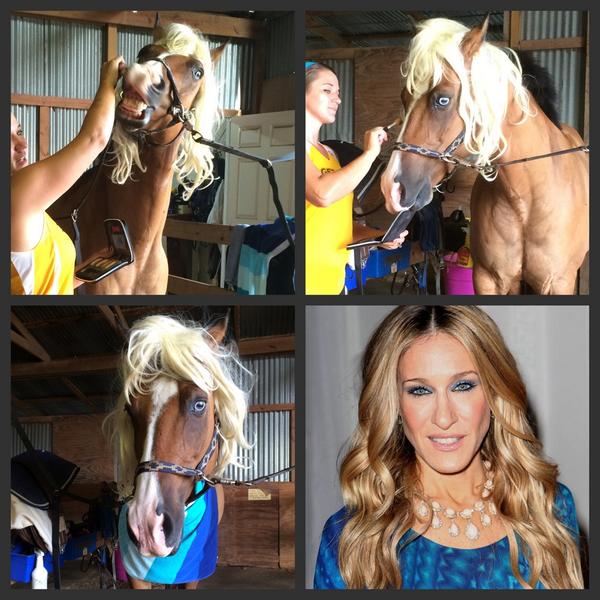 Hanoverian's tweet photo. RT @BoJackHorseman yes my horse Does have his own TV show, my horse is actually very famous. http://t.co/42NV4WAulX