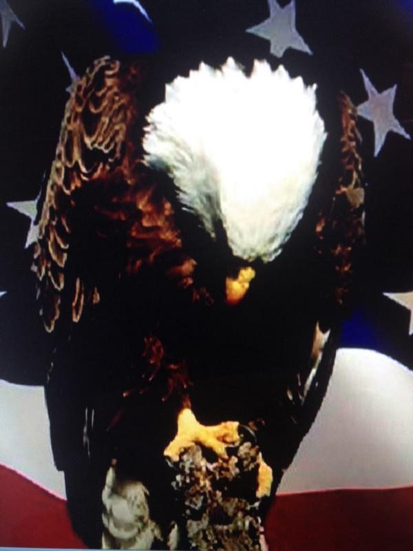 88Veterans (@88veterans) on Twitter photo 