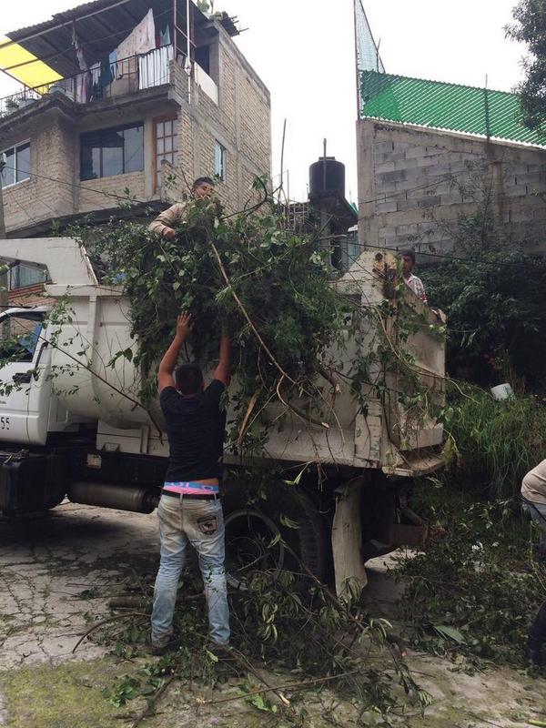 mnani8's tweet photo. @leonel_luna @C_Ecotec_DAO @Desierto_leones recogiendo la basura de la poda, nos atiende Israel Genesta mil GRACIAS http://t.co/73zV5CSNWI