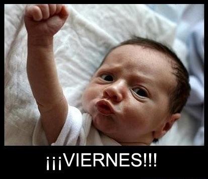 MiniPinganillo tweet picture