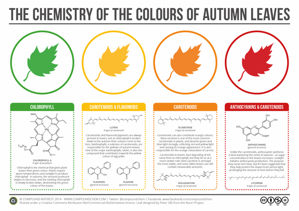 sciencegoddess tweet picture