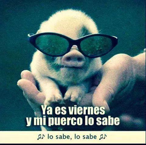 Quechuladashow's tweet photo. Ya es viernes yeahh!! :) http://t.co/Y79WtfJc18