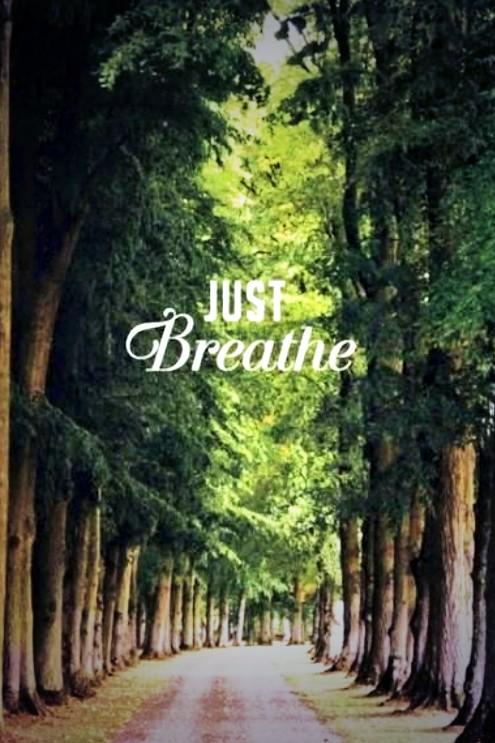SkylaTae's tweet photo. #AlwaysRemember #JustBreathe #EverythingIsGonnaBeAlright ✌️💋🙏 http://t.co/Ik62HzpMu2