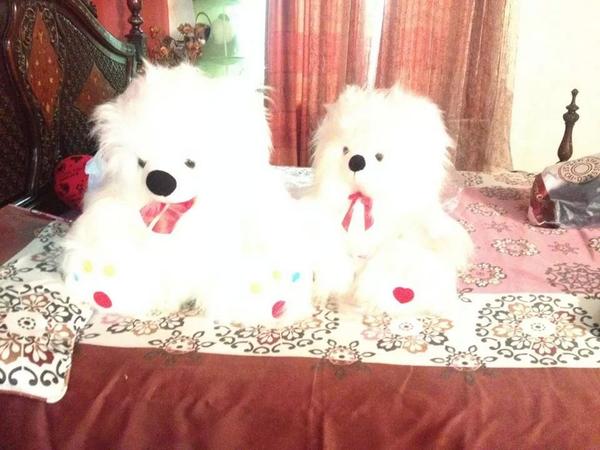 030Maya's tweet image. 