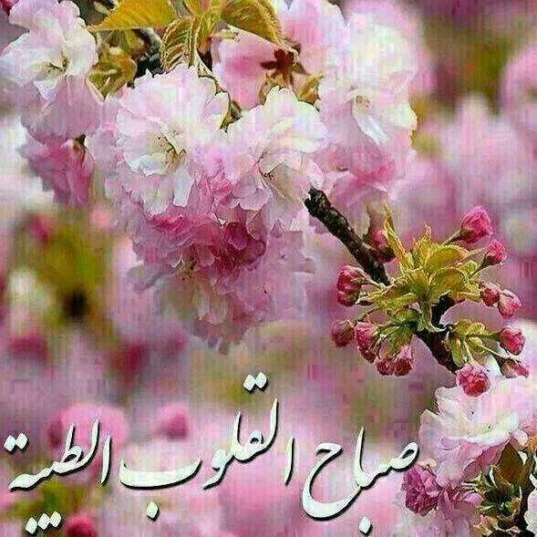 LegentO's tweet photo. @q8_h_s http://t.co/xZPRNqETkh