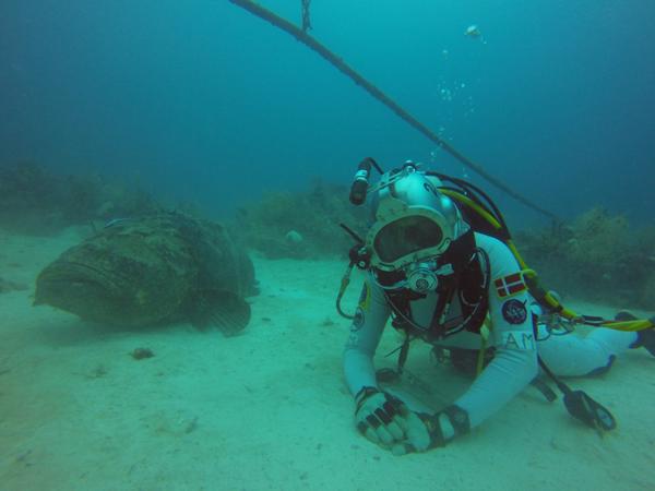 Check out the Goliath Grouper I met outside the Aquarius <a href="/ReefBase/">Aquarius Reef Base</a> today! He's as big as I am!