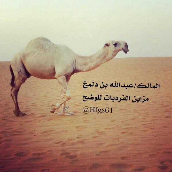 ☆☆ولد تمام☆☆ المالك عبدالله بن دلمخ