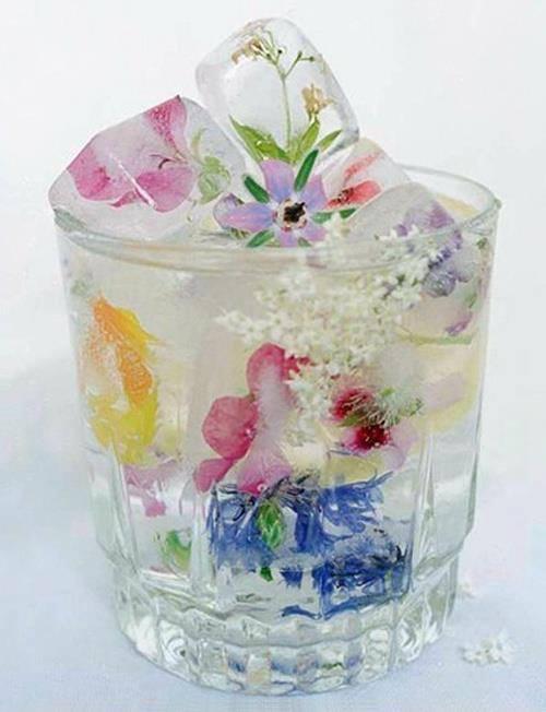 DeliSkincare's tweet photo. Flowers in ice #beautiful #Skincare #Iceyourself http://t.co/zvdwTDUdAO