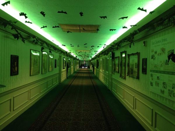 ckrusch's tweet image. Coolest Hallway at #BloggyCon14