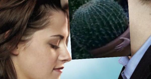 Bellas_Cactus's tweet photo. #bellactus http://t.co/d6ZSlQU7S8