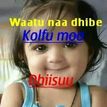 gamil3539's tweet photo. http://t.co/cCpMvesmsi