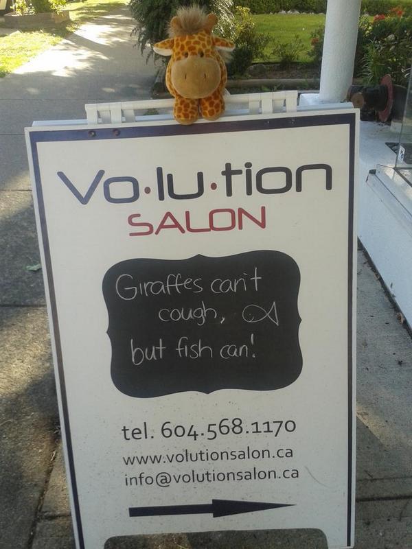 VolutionSalon's tweet image. Poor Giraffes. But I guess fish have to clear there gills too