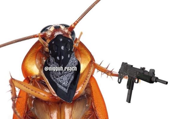 ROACH ❗️ tweet media